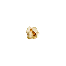 Símbolo de palomitas de maíz de Pirots 2